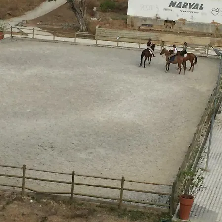 Colaco *